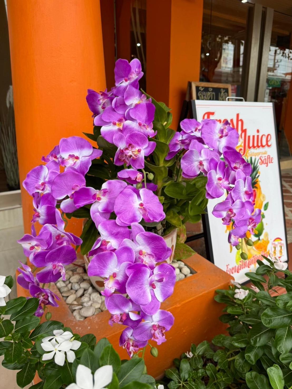 Venice Hotel HHQ Zewnętrze zdjęcie